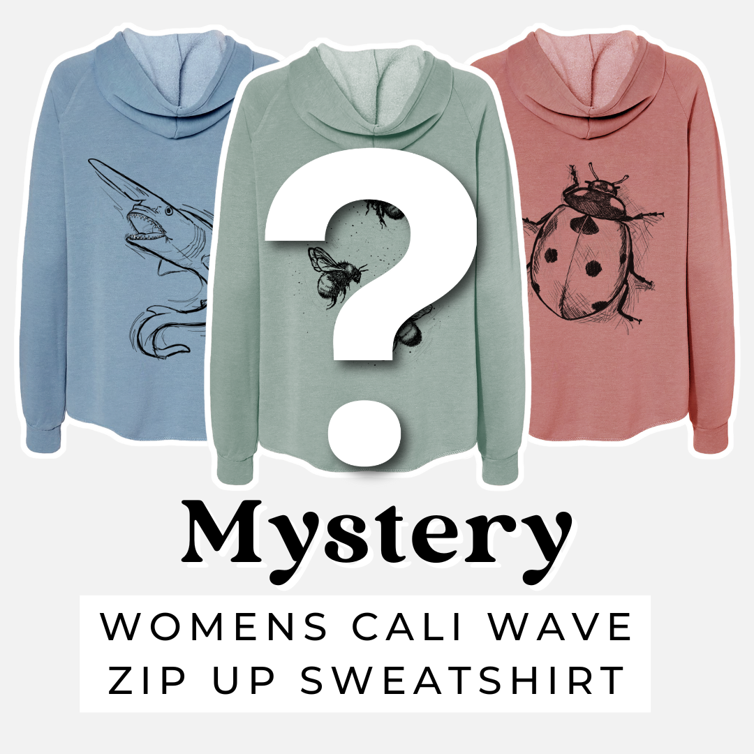 Product photo of the BeCause Tees Sweatshirt Mystery Grab Bag.