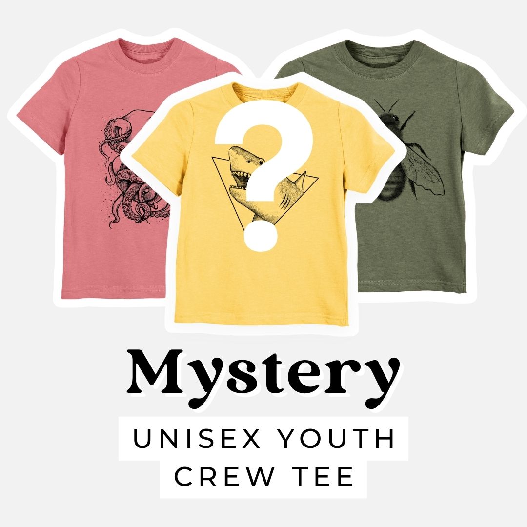 Product photo of the BeCause Tees Kids Mystery Grab Bag.
