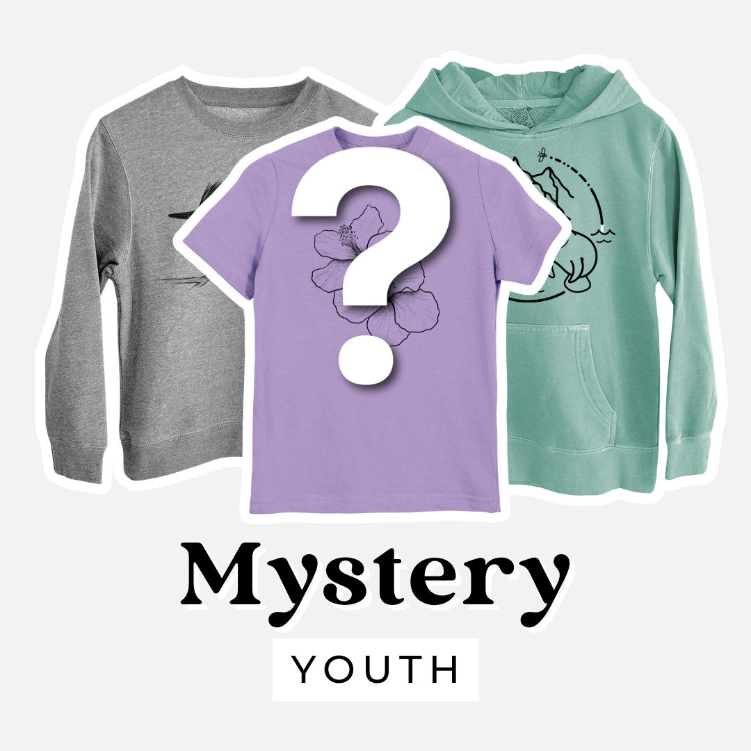 Kids mystery grab bag: youth sweatshirt, lavender tee and mint hoodie with nature illustrations behind a question mark.