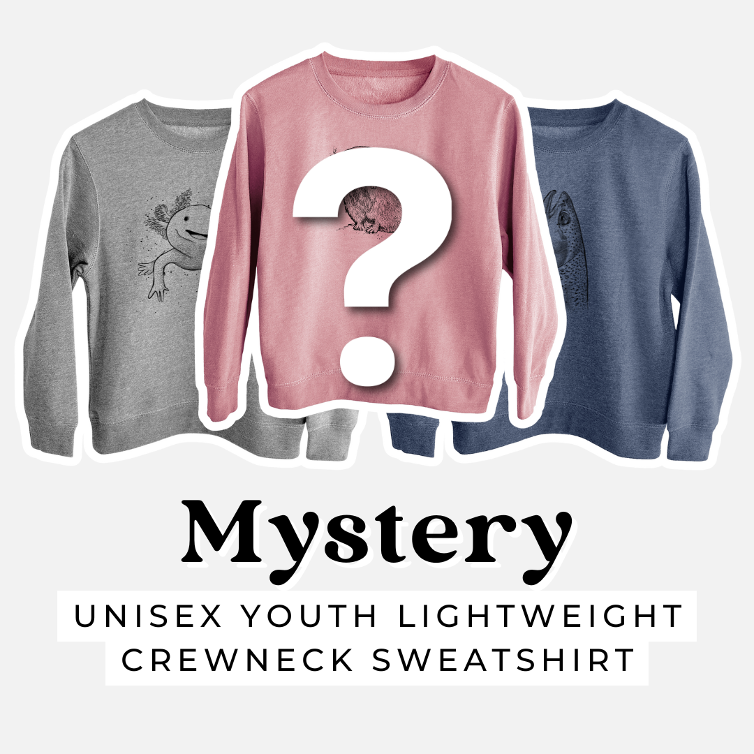 Product photo of the BeCause Tees Kids Mystery Grab Bag.