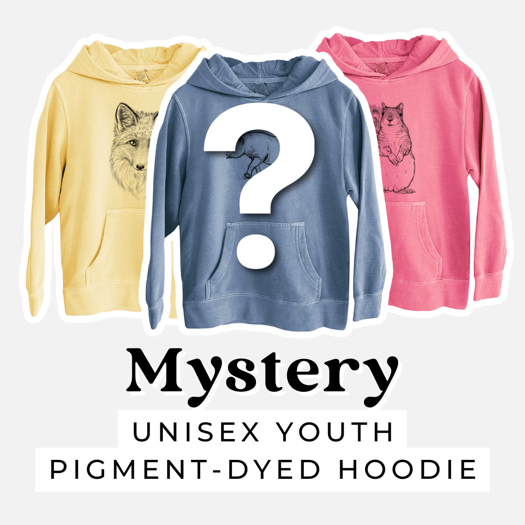 Product photo of the BeCause Tees Kids Mystery Grab Bag.