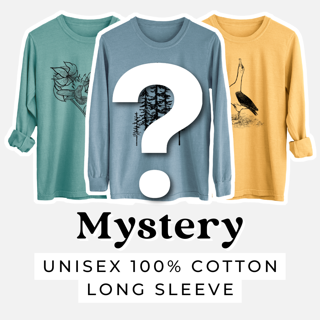 Product photo of the BeCause Tees T-shirt Mystery Grab Bag.