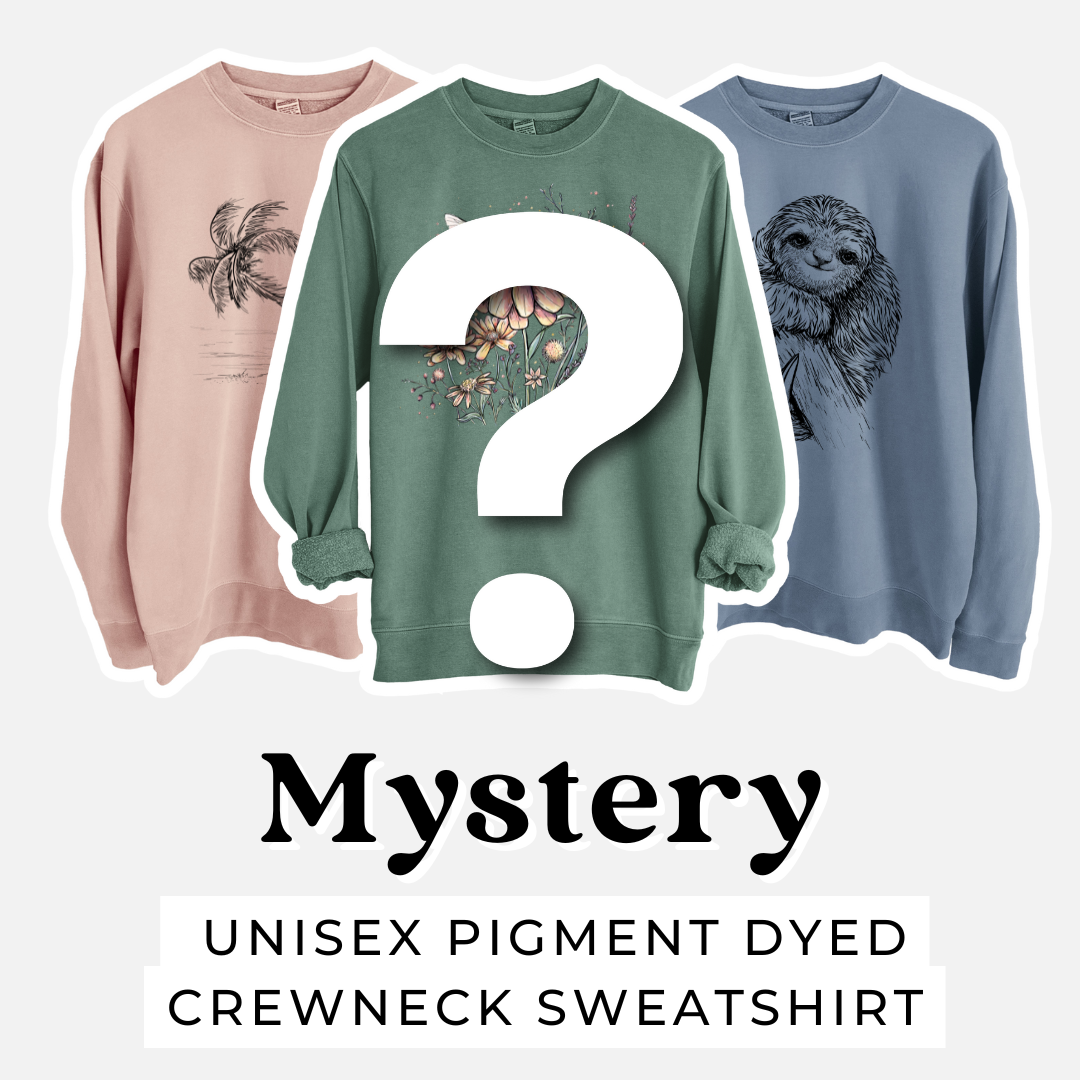 Product photo of the BeCause Tees Sweatshirt Mystery Grab Bag.