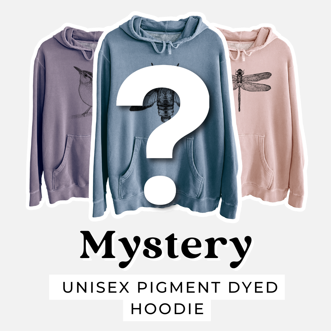 Product photo of the BeCause Tees Sweatshirt Mystery Grab Bag.