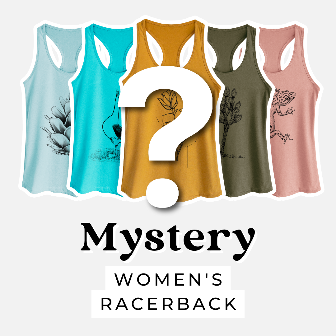 Product photo of the BeCause Tees T-shirt Mystery Grab Bag.