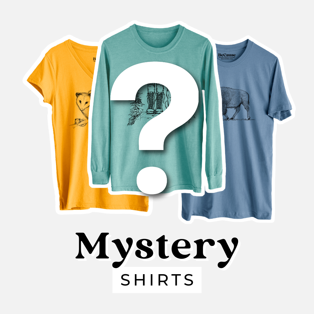 Mystery t-shirt grab bag: three nature graphic tees in mustard, mint and blue with a question mark, discounted surprise BeCause Tees shirts.