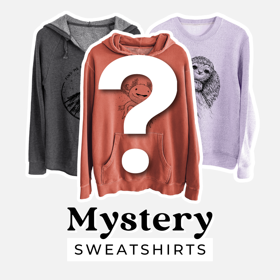 Mystery sweatshirt grab bag: grey zip hoodie, rust pullover hoodie and lavender crewneck with nature illustrations behind a question mark.