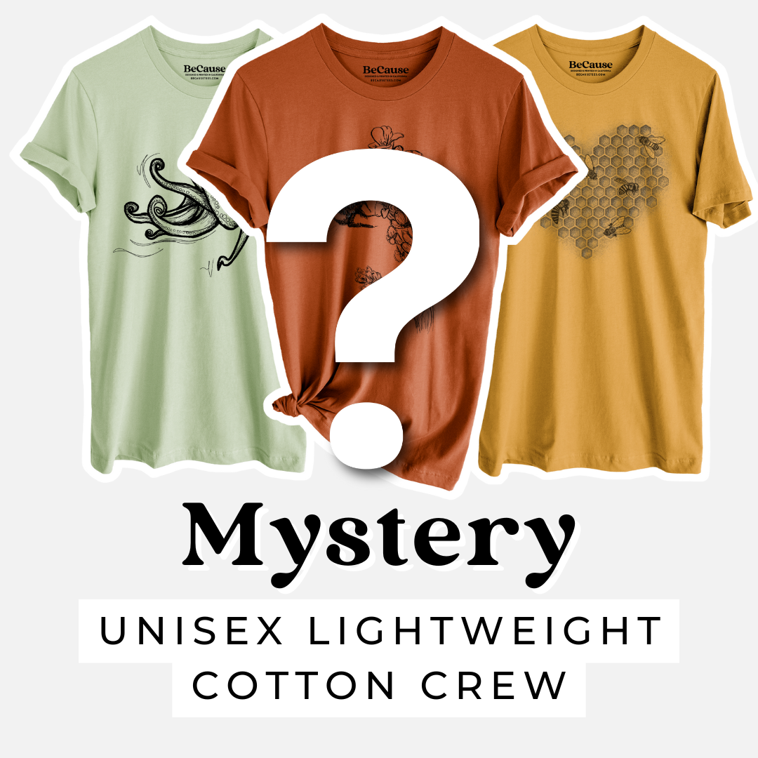 Product photo of the BeCause Tees T-shirt Mystery Grab Bag.