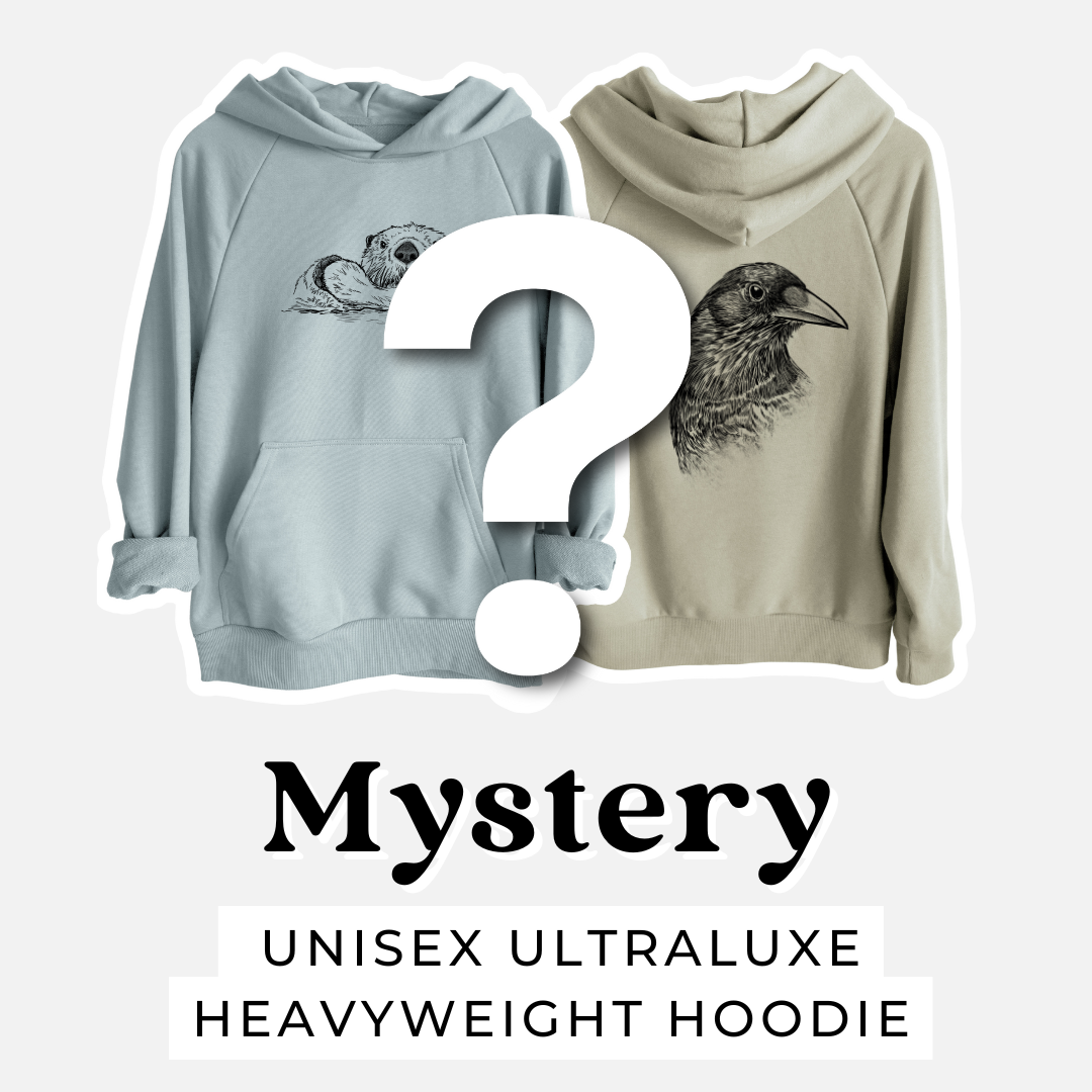 Product photo of the BeCause Tees Sweatshirt Mystery Grab Bag.
