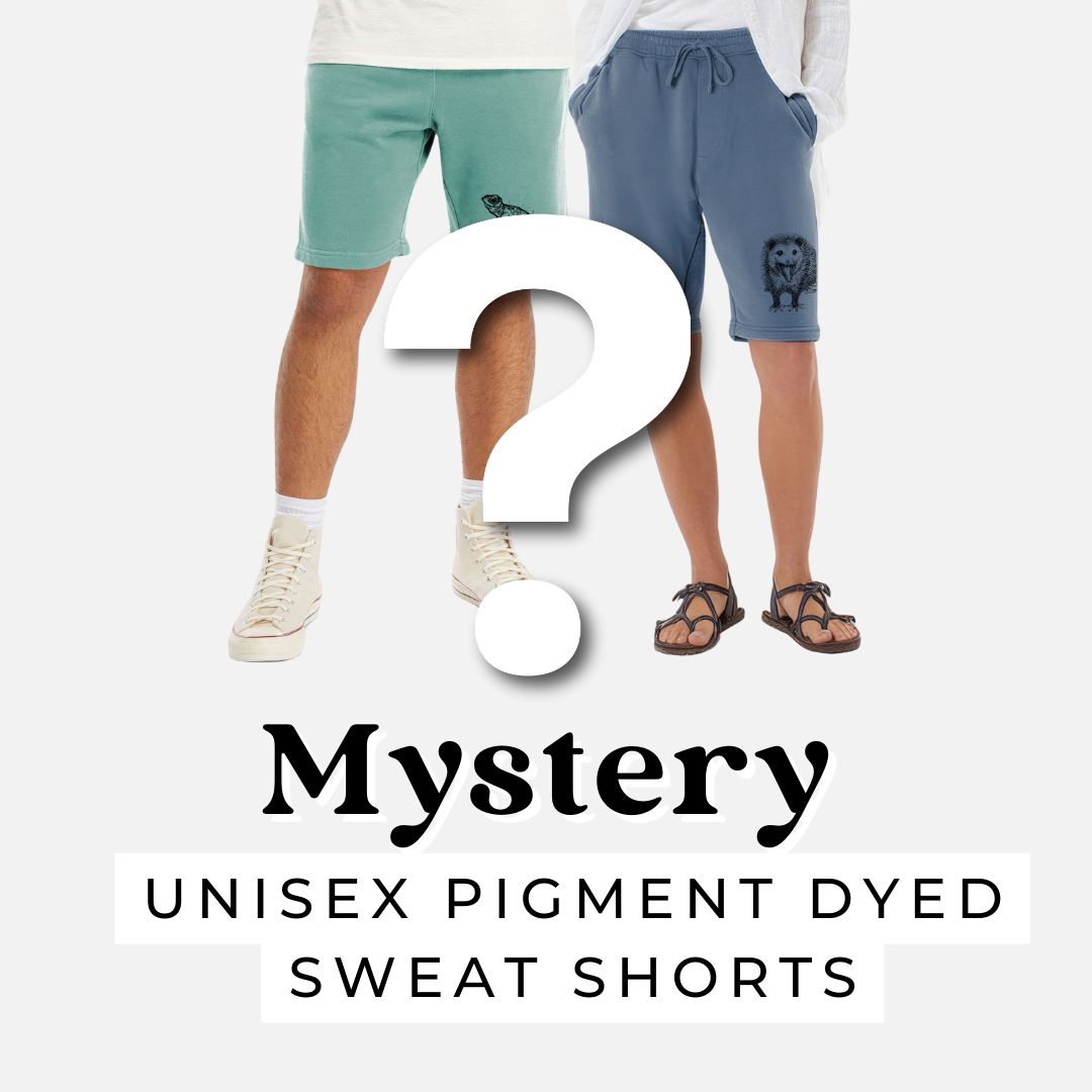 Product photo of the BeCause Tees Mystery Shorts.