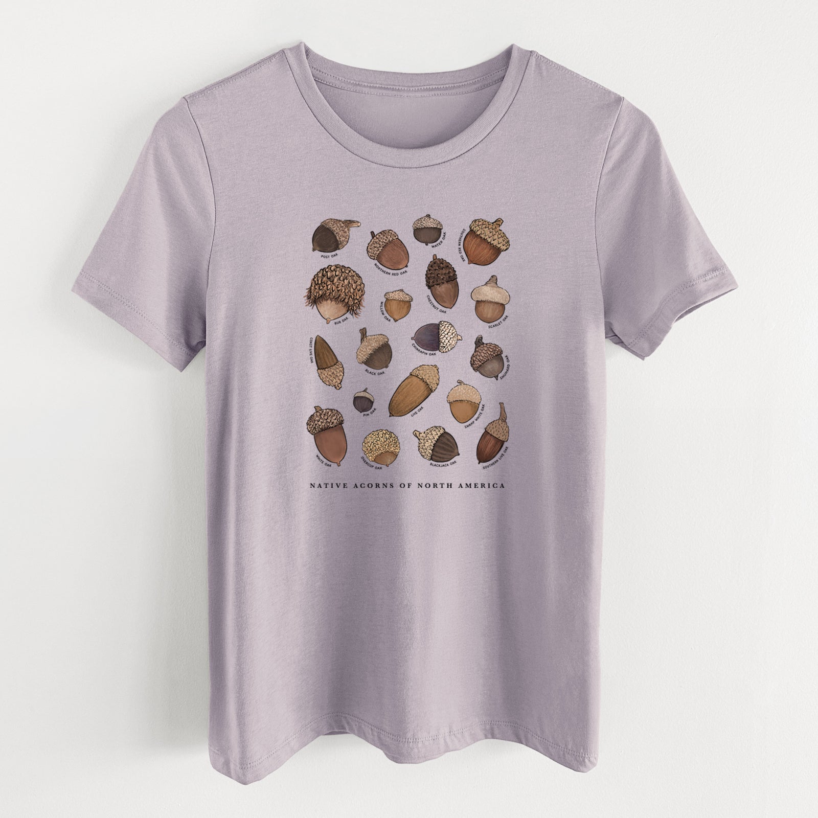 Light violet women's relaxed fit cotton t-shirt laid flat, printed with a full-color chart of North American acorns, each labeled with its oak species.