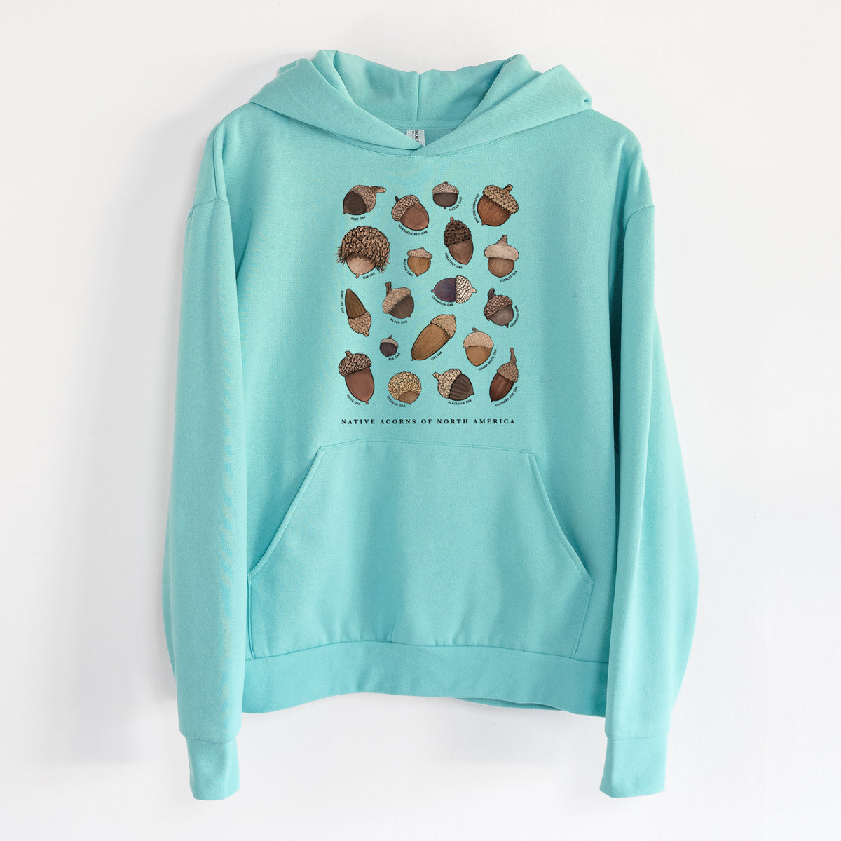 Native Acorns of North America - Statement Midweight Hoodie in Seafoam, hanging on a white wall, with a front kangaroo pocket and no drawcords.