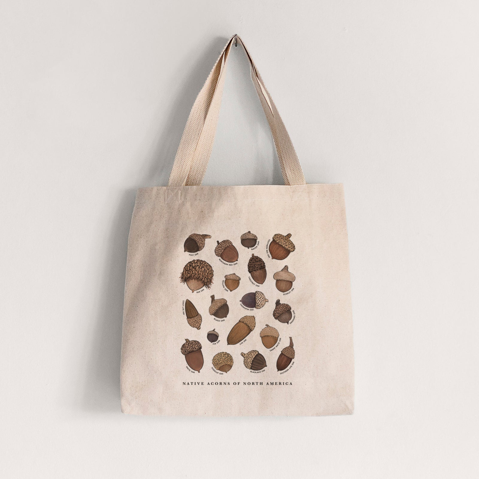 Natural canvas tote bag printed with a full-color chart of North American acorns, each labeled with its oak species.