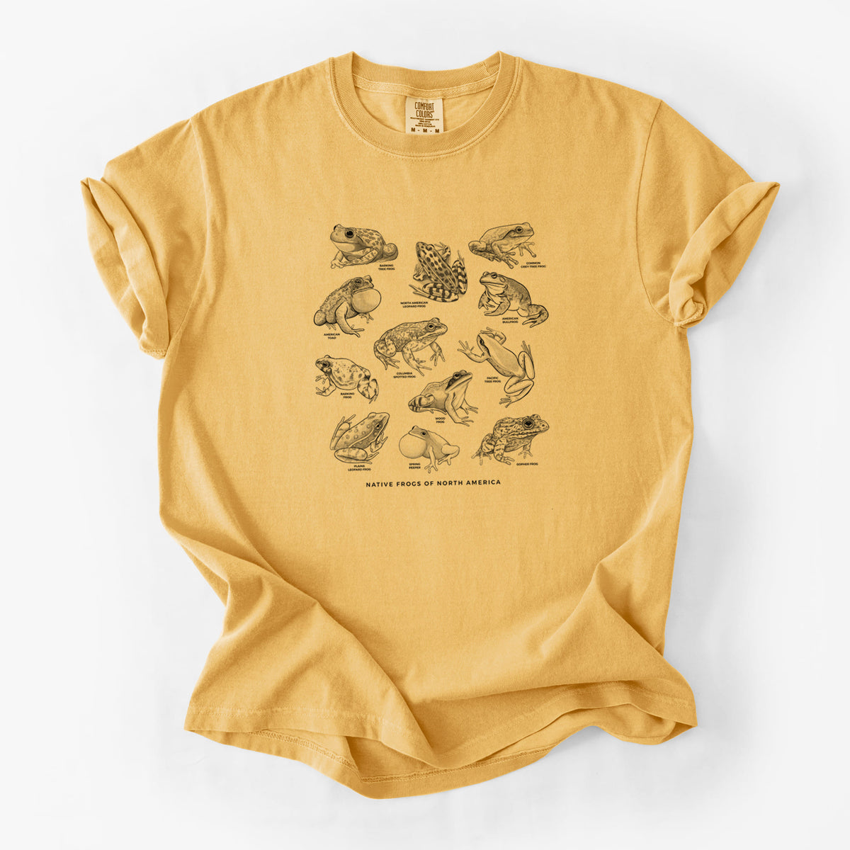 Golden wheat yellow Comfort Colors t-shirt laid flat, printed with a chart of black ink illustrations of North American frog species.