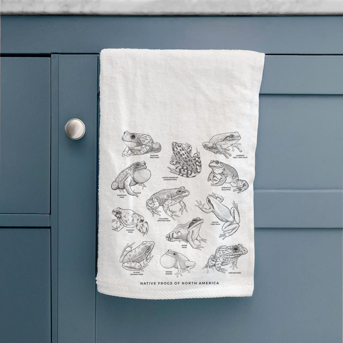 White hand towel printed with a chart of black ink illustrations of North American frog species, hanging on a cabinet door.