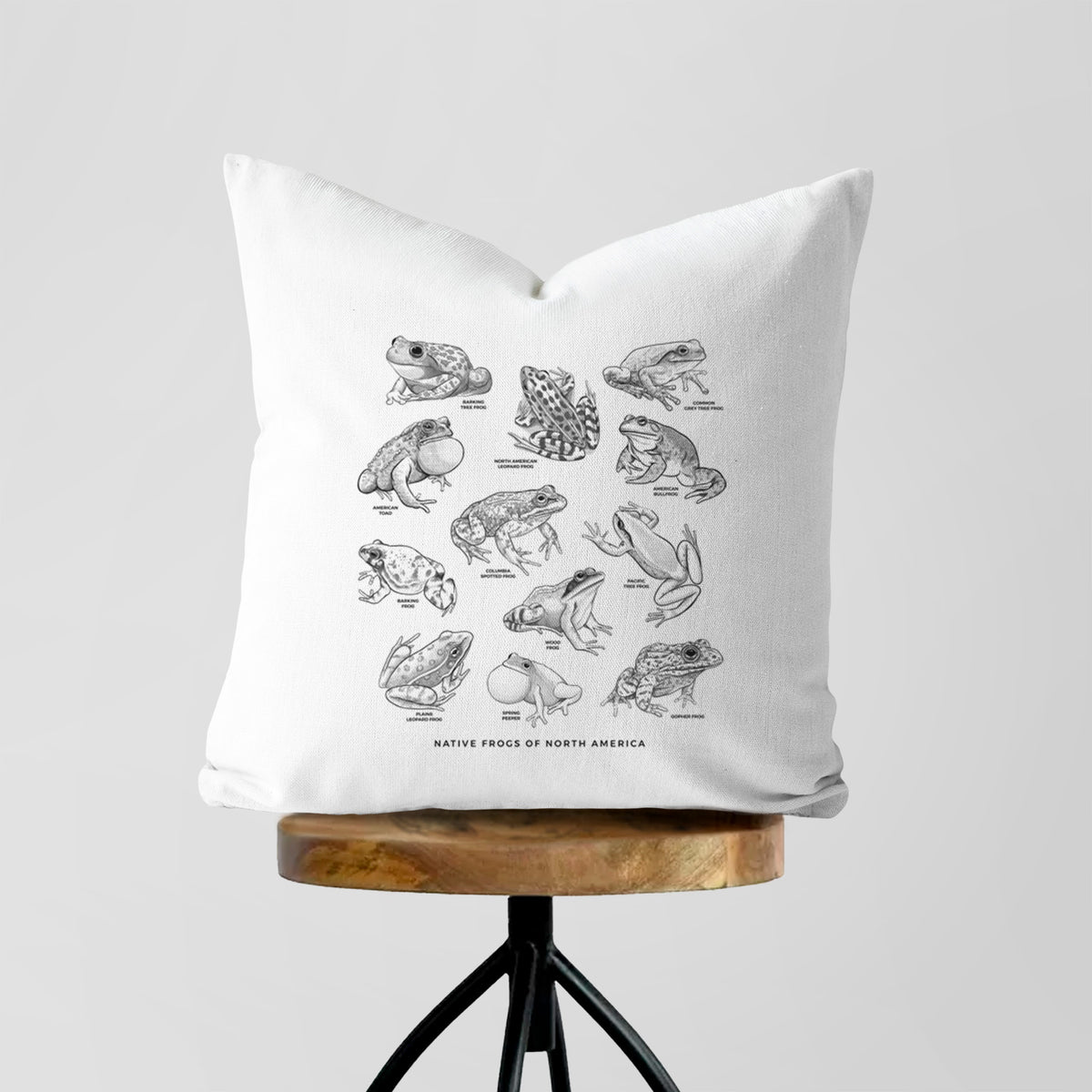 White pillow cover printed with a chart of black ink illustrations of North American frog species, on a wooden stool.