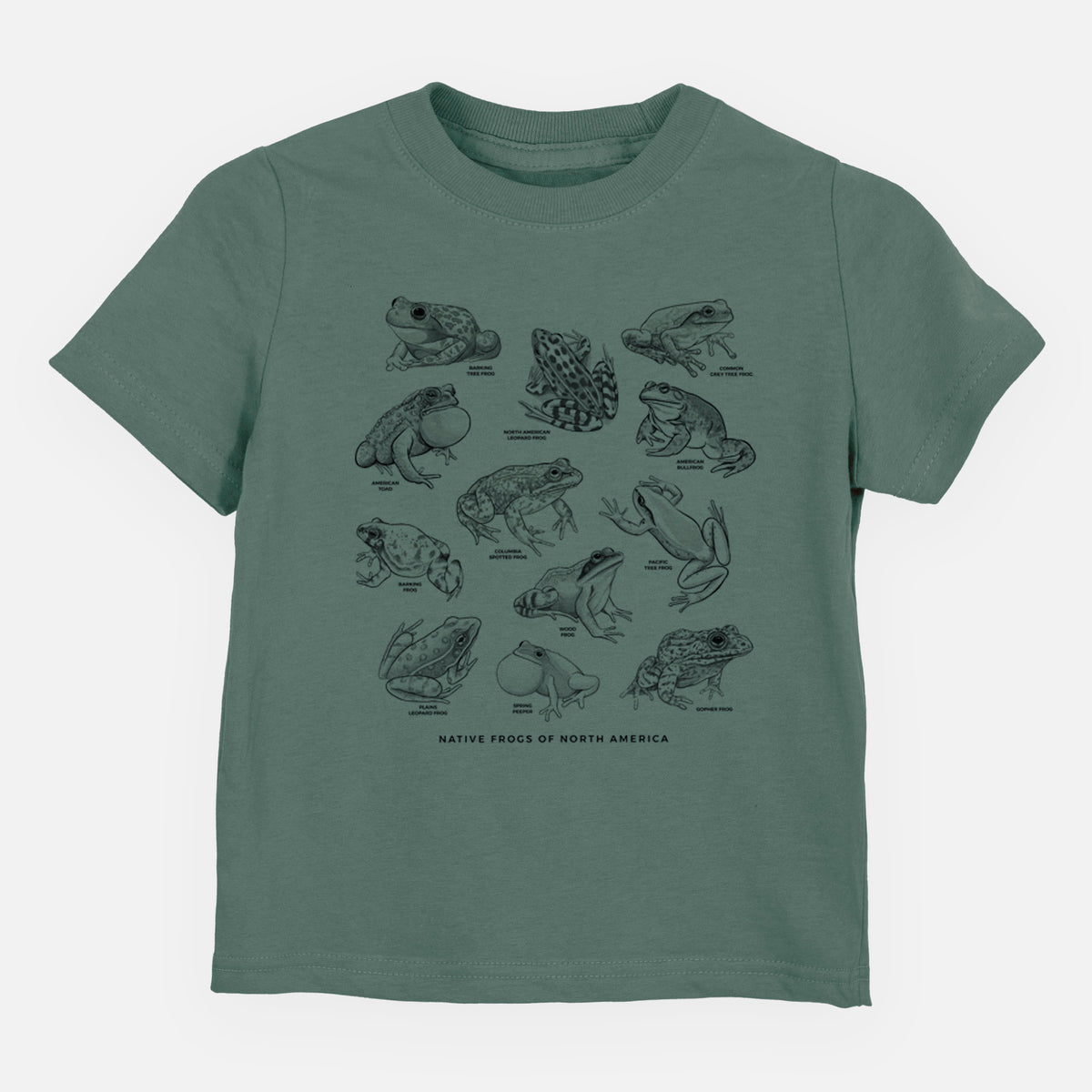 Basil green toddler t-shirt laid flat, printed with a chart of black ink illustrations of North American frog species.