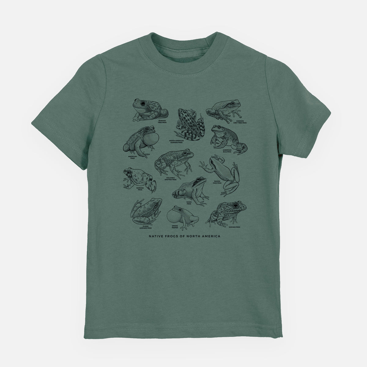 Basil green youth t-shirt laid flat, printed with a chart of black ink illustrations of North American frog species.