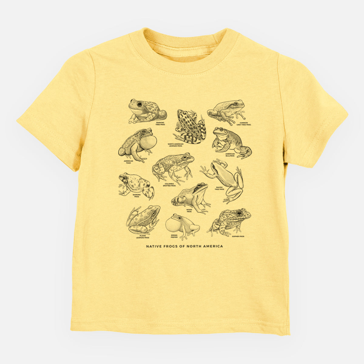 Butter yellow toddler t-shirt laid flat, printed with a chart of black ink illustrations of North American frog species.