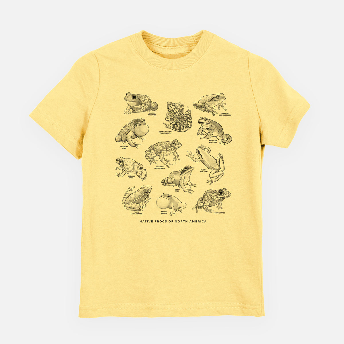 Butter yellow youth t-shirt laid flat, printed with a chart of black ink illustrations of North American frog species.