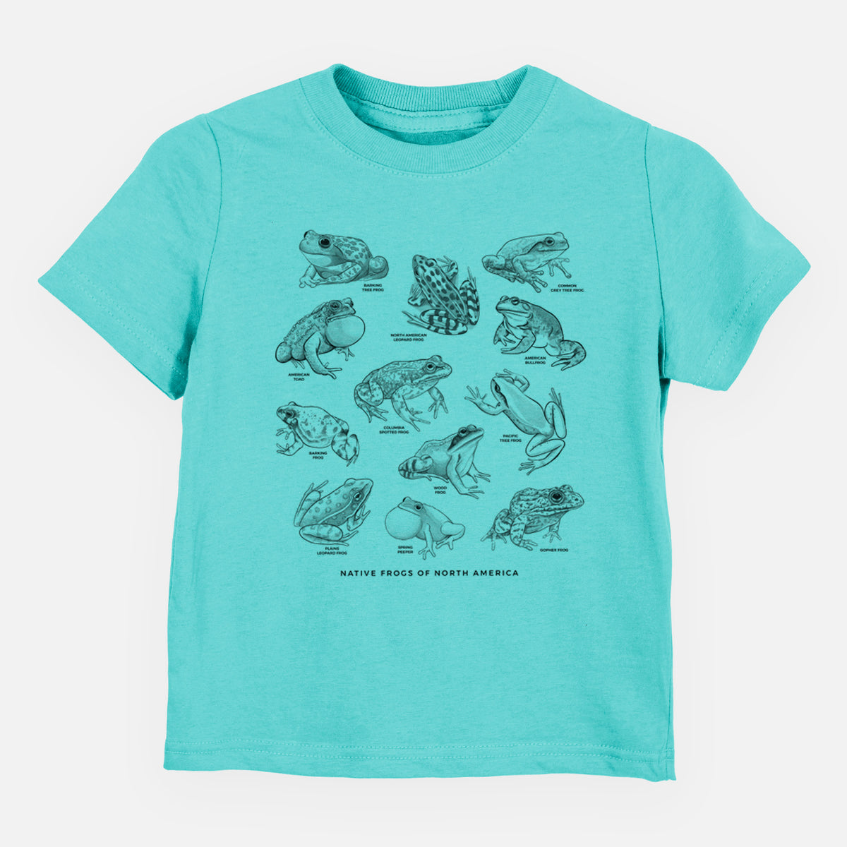 Caribbean blue toddler t-shirt laid flat, printed with a chart of black ink illustrations of North American frog species.