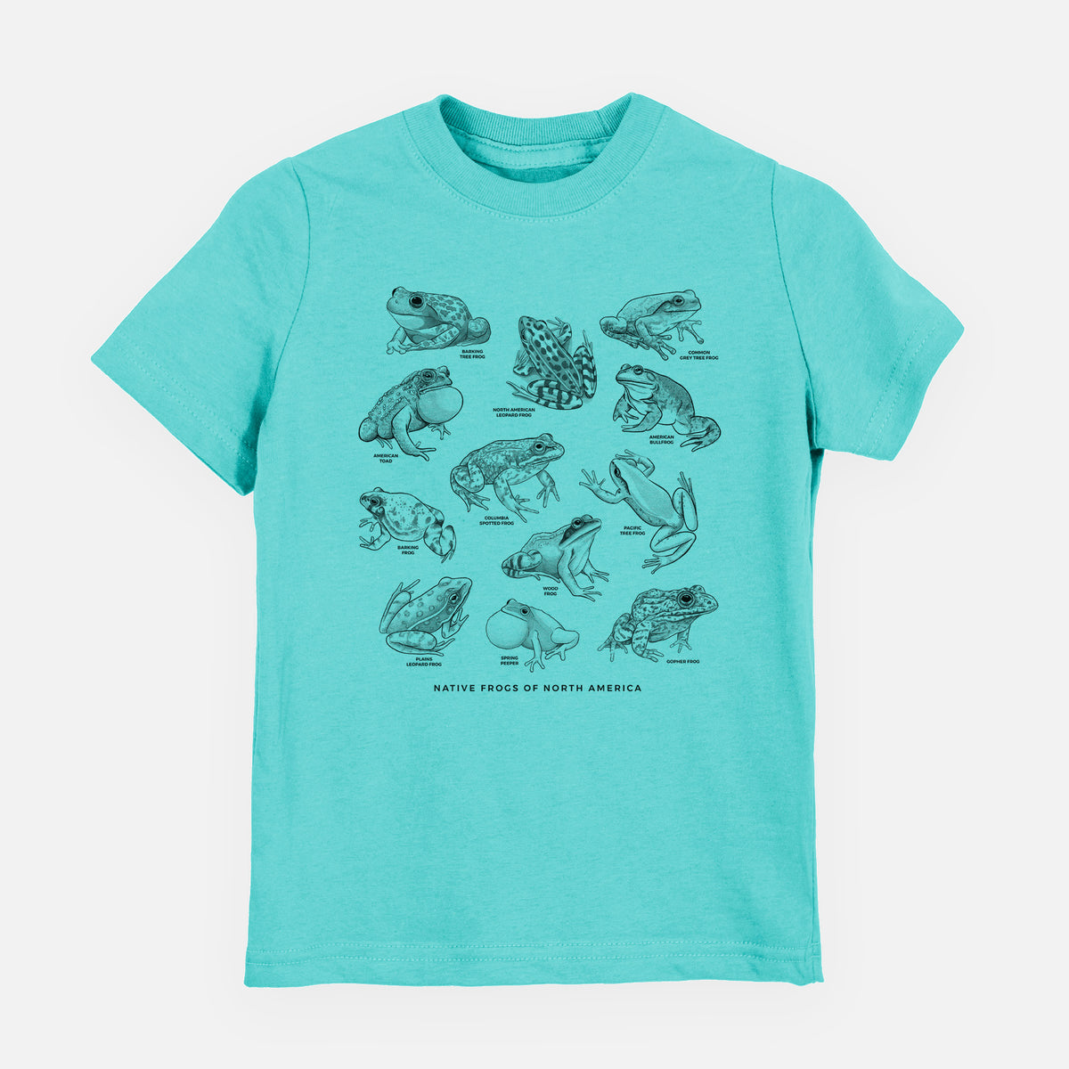 Caribbean blue youth t-shirt laid flat, printed with a chart of black ink illustrations of North American frog species.