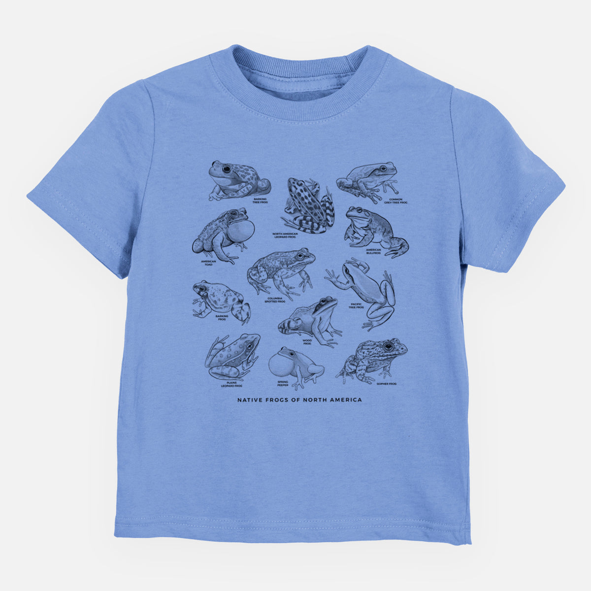 Carolina blue toddler t-shirt laid flat, printed with a chart of black ink illustrations of North American frog species.