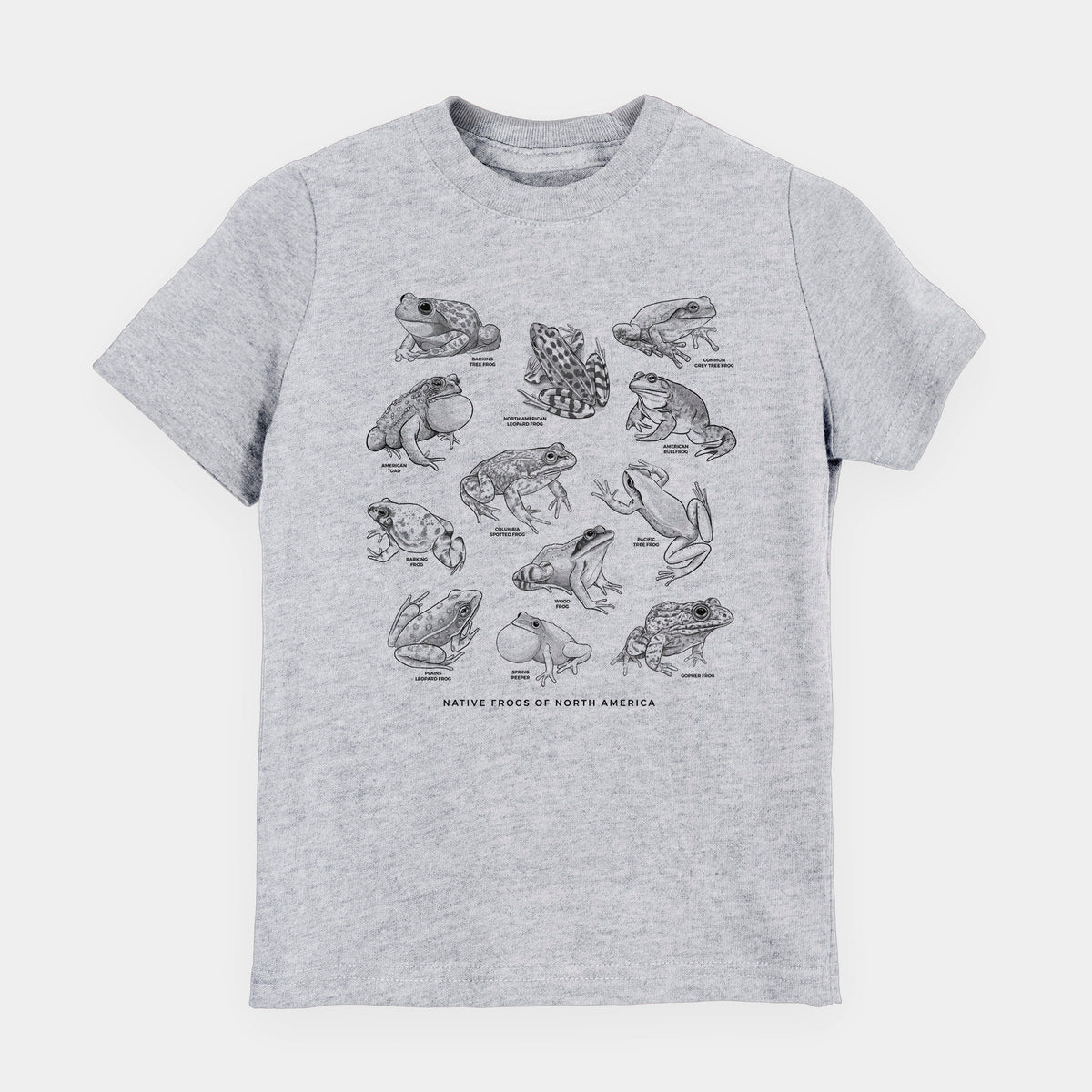 Heather grey youth t-shirt laid flat, printed with a chart of black ink illustrations of North American frog species.