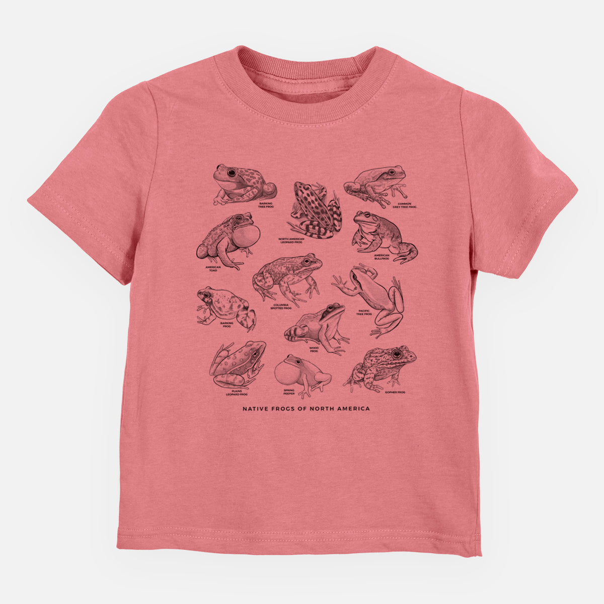 Mauve pink toddler t-shirt laid flat, printed with a chart of black ink illustrations of North American frog species.