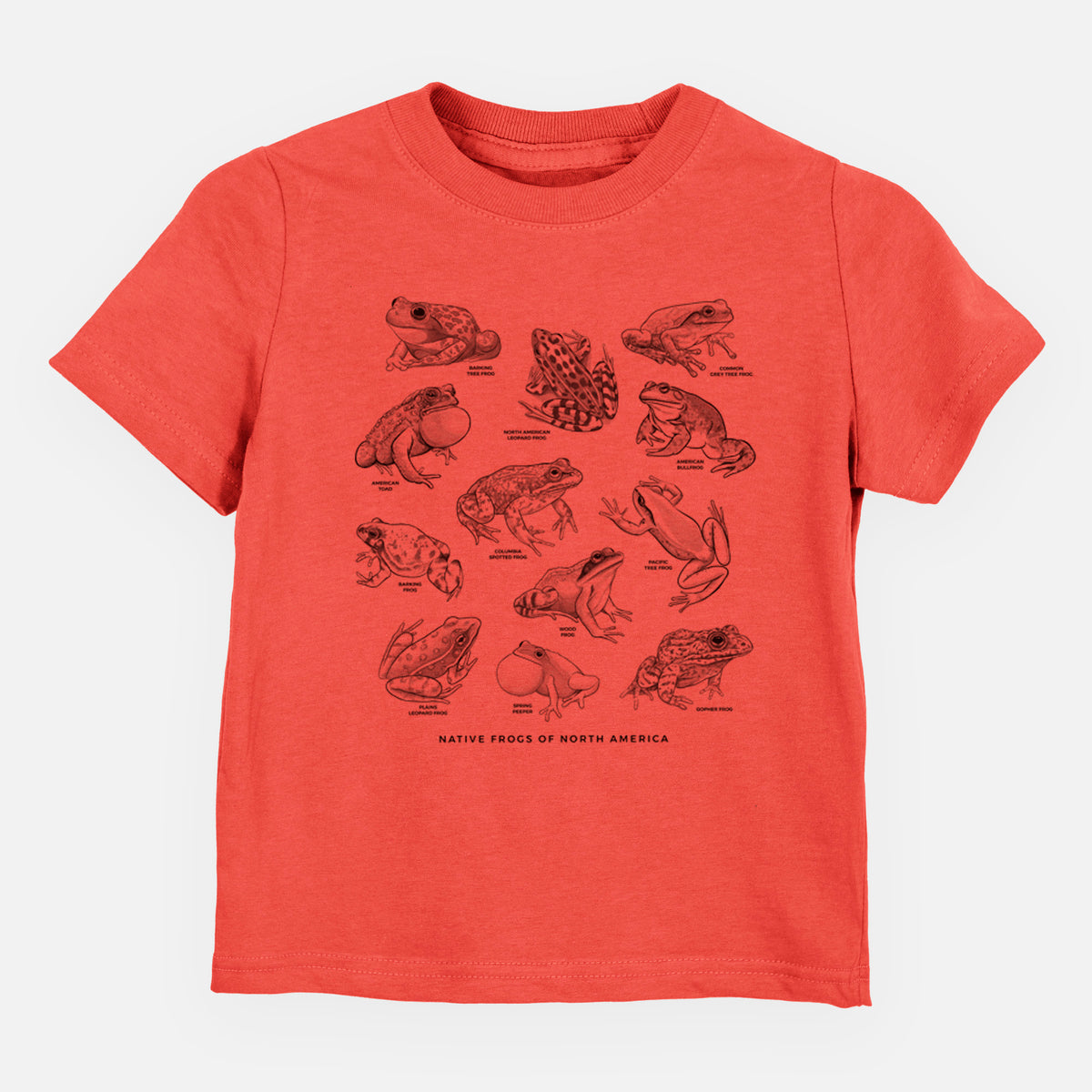Passionfruit pink toddler t-shirt laid flat, printed with a chart of black ink illustrations of North American frog species.