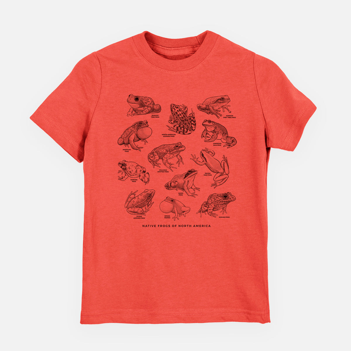 Passionfruit pink youth t-shirt laid flat, printed with a chart of black ink illustrations of North American frog species.