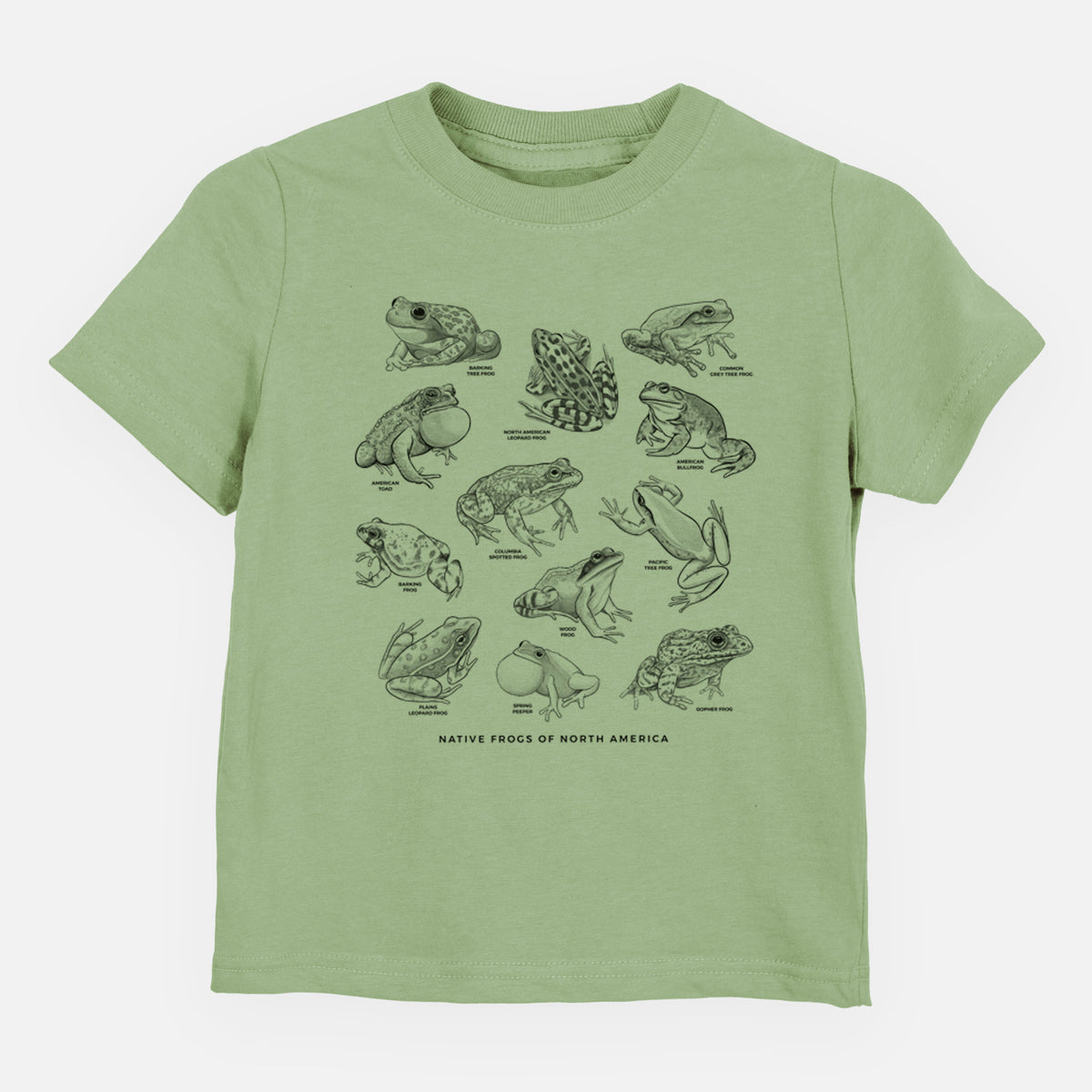 Sage green toddler t-shirt laid flat, printed with a chart of black ink illustrations of North American frog species.