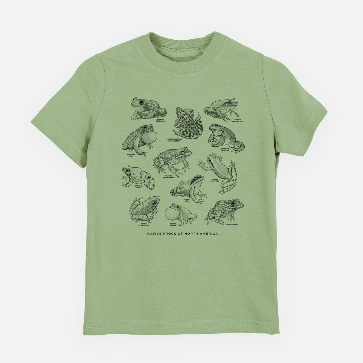 Sage green youth t-shirt laid flat, printed with a chart of black ink illustrations of North American frog species.