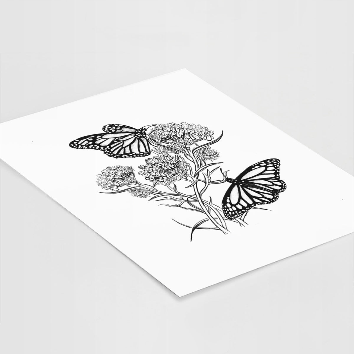 Art print of a black ink illustration of two monarch butterflies on flowering milkweed, lying at an angle on a white surface.
