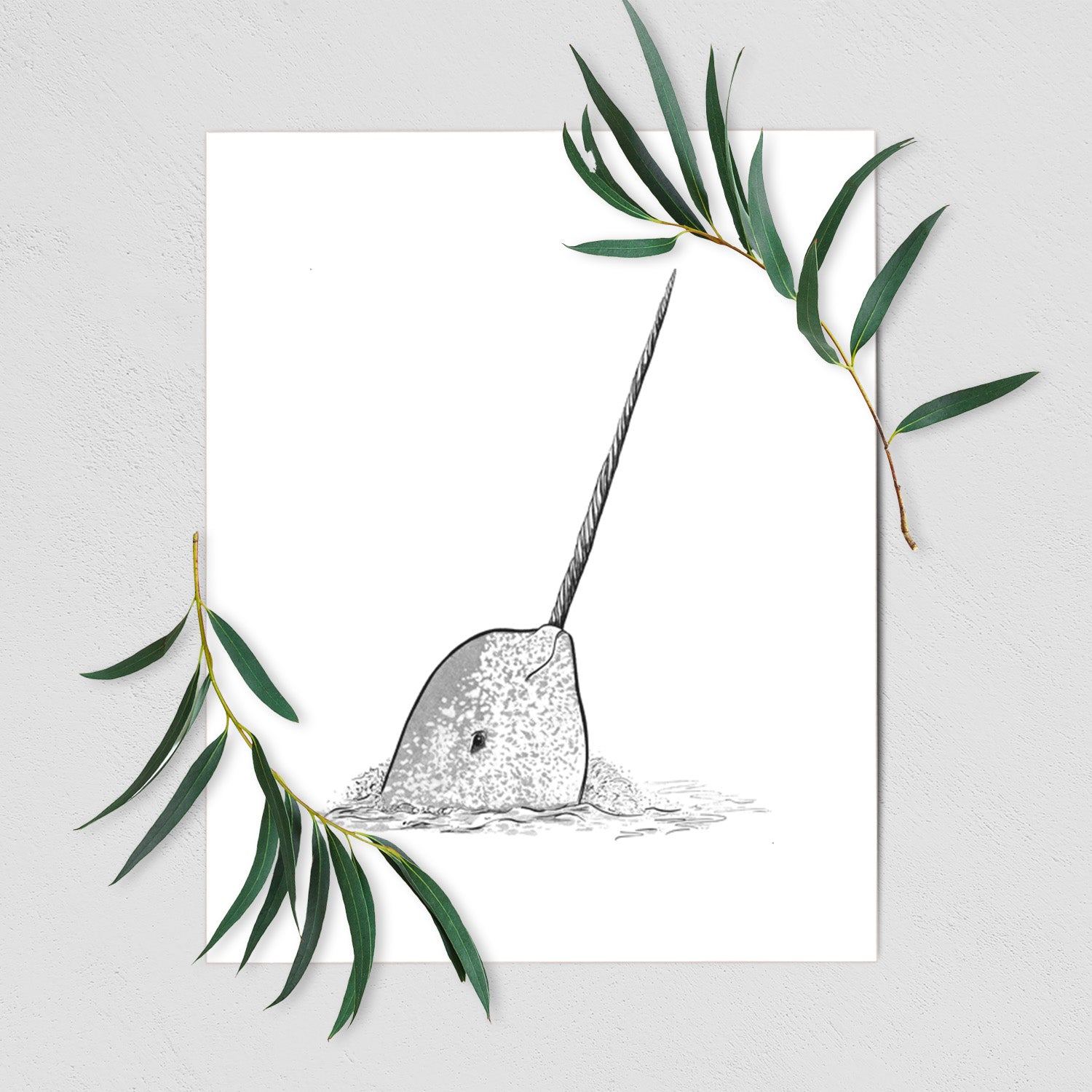 Art print of a black ink illustration of a narwhal with its long spiral tusk pointing upward, shown with eucalyptus leaves.