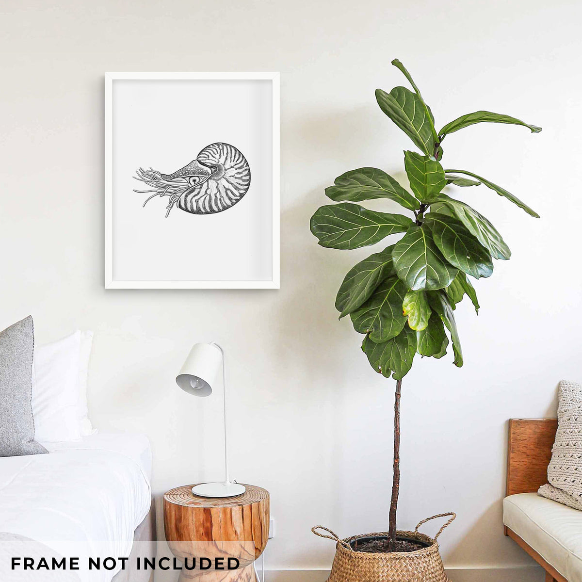 Art print of a detailed black ink illustration of a chambered nautilus with its striped spiral shell and tentacles, shown framed on a living room wall beside a potted plant. Frame not included.