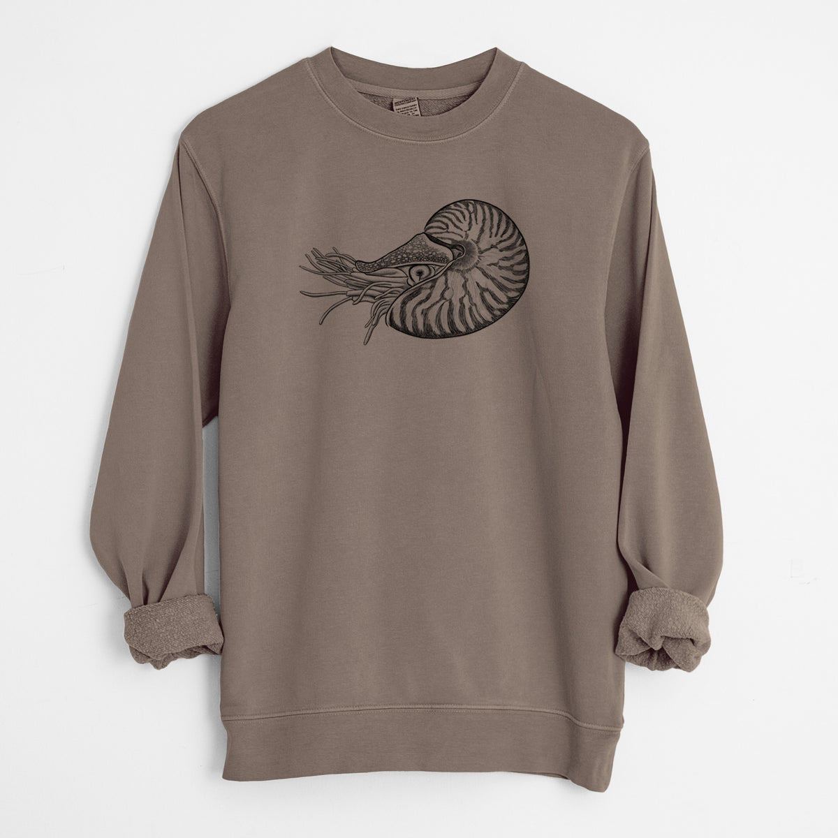 Palau Nautilus - Nautilus belauensis - Unisex Pigment Dyed Crew Sweatshirt in Espresso Brown Color