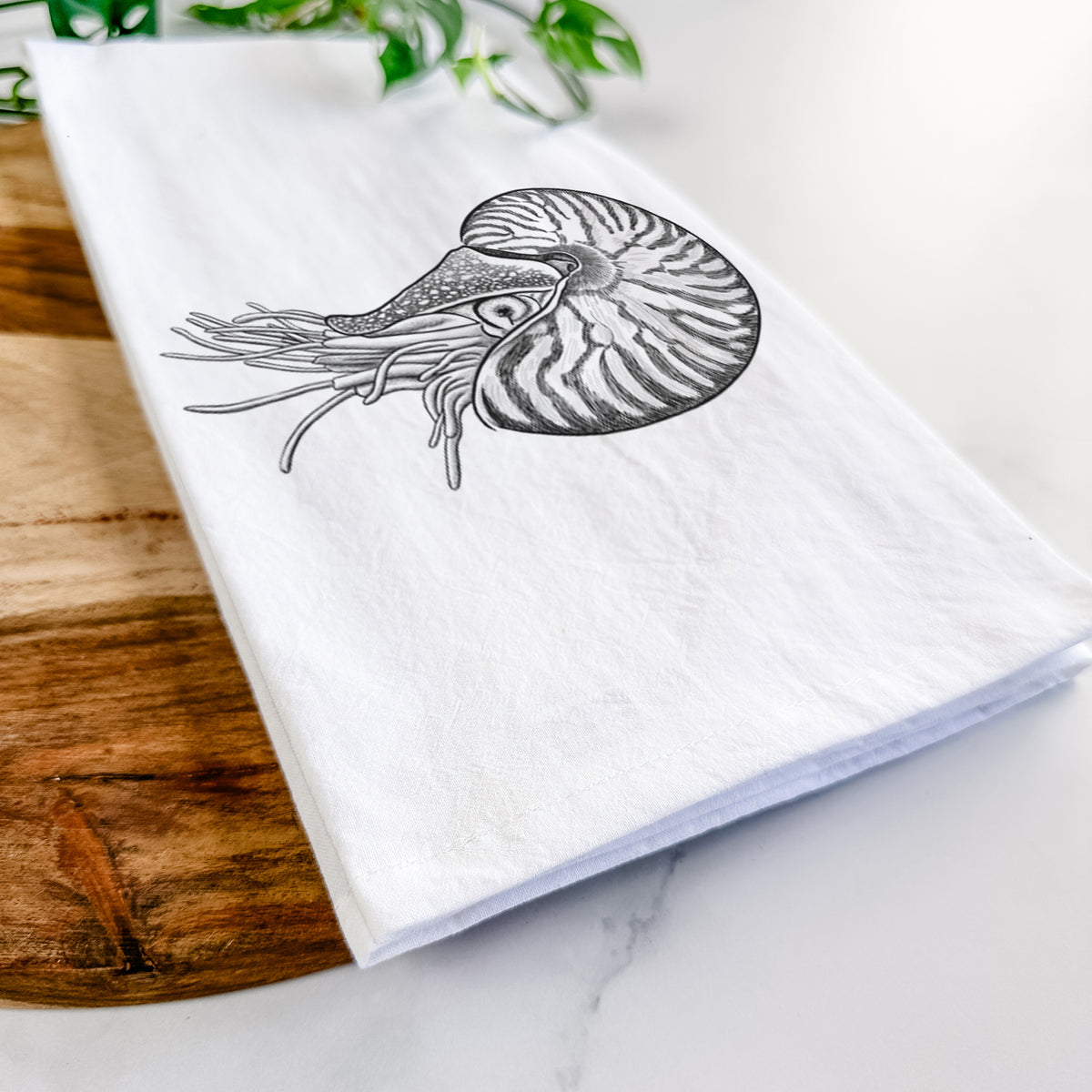 Close-up of a folded white tea towel on a wooden board, showing a detailed black ink illustration of a chambered nautilus with its striped spiral shell and tentacles.