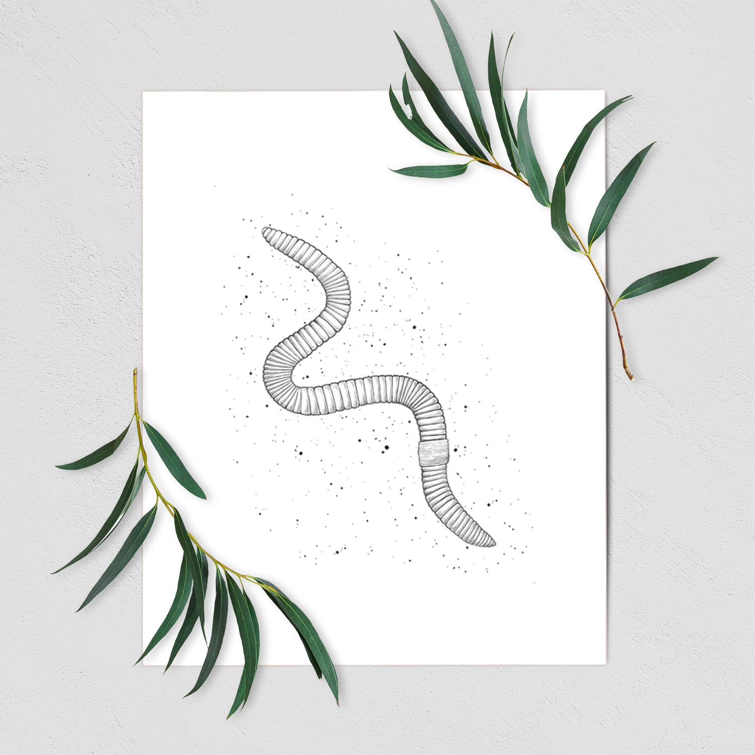 Art print of a black ink illustration of a nightcrawler earthworm with soil specks, shown with eucalyptus leaves.