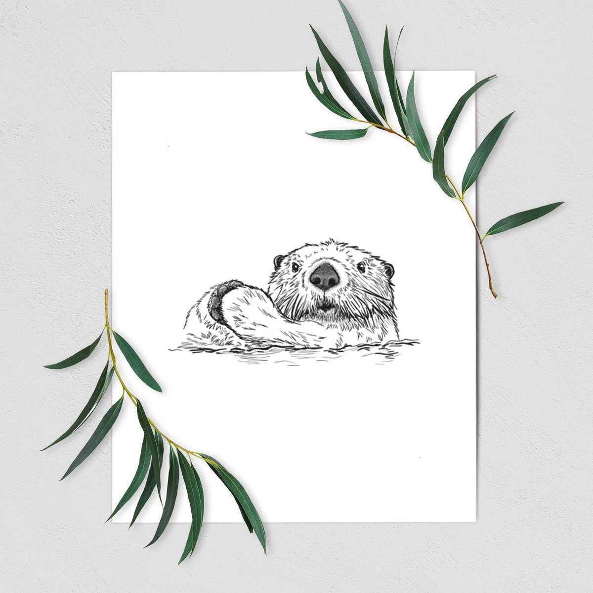 Art print of a black ink illustration of a northern river otter peeking out of the water, shown with eucalyptus leaves.