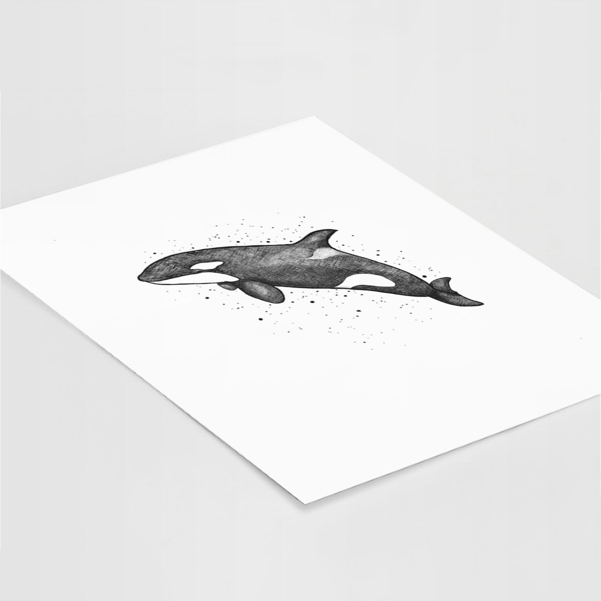 Art print of a black ink illustration of an orca leaping, with ink splatters, lying at an angle on a white surface.