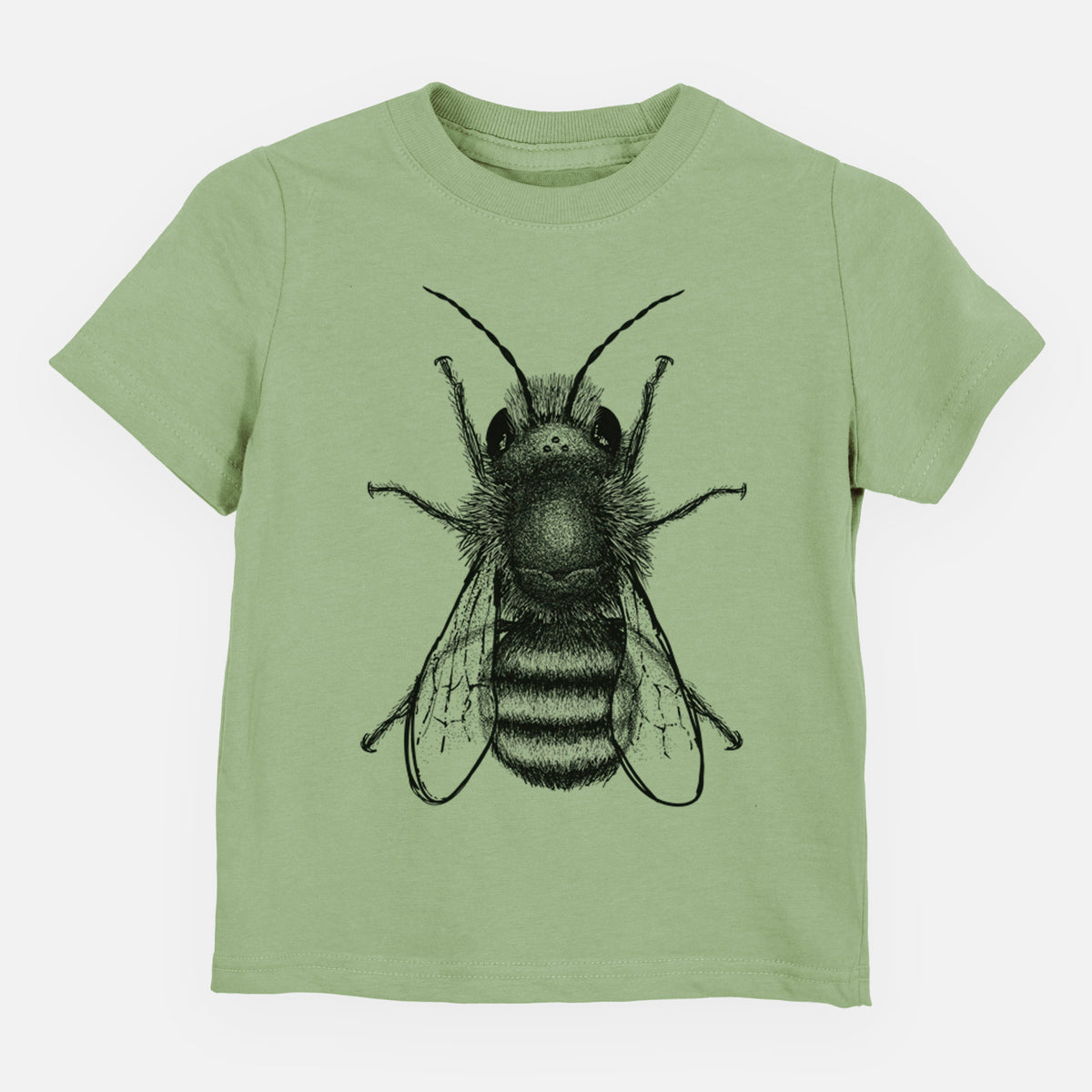 Sage green toddler t-shirt laid flat, printed with a detailed black ink illustration of a red mason bee with its wings spread, seen from above.