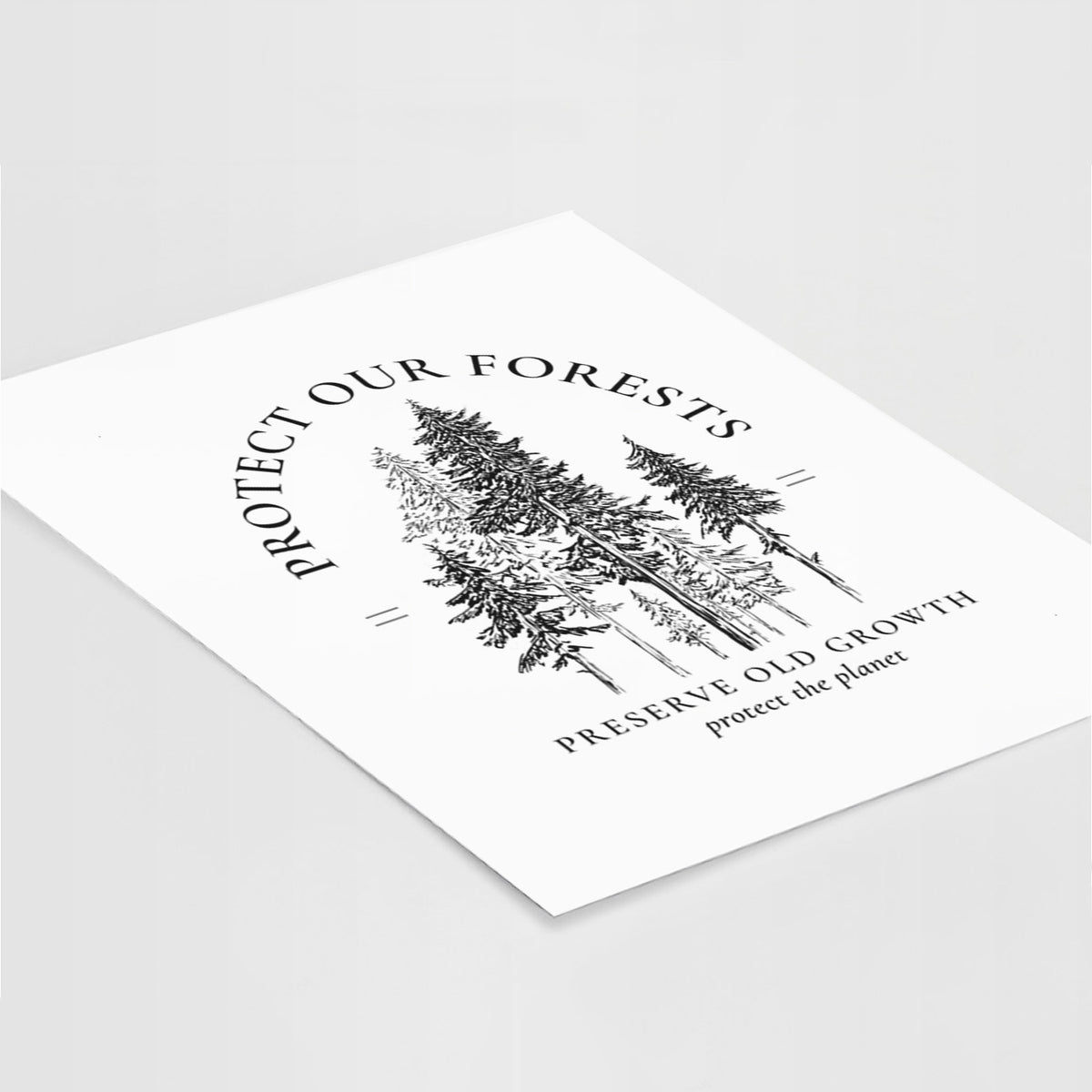 Art print of a black ink illustration of a stand of tall pine trees, framed by the words Protect Our Forests, Preserve Old Growth, lying at an angle on a white surface.