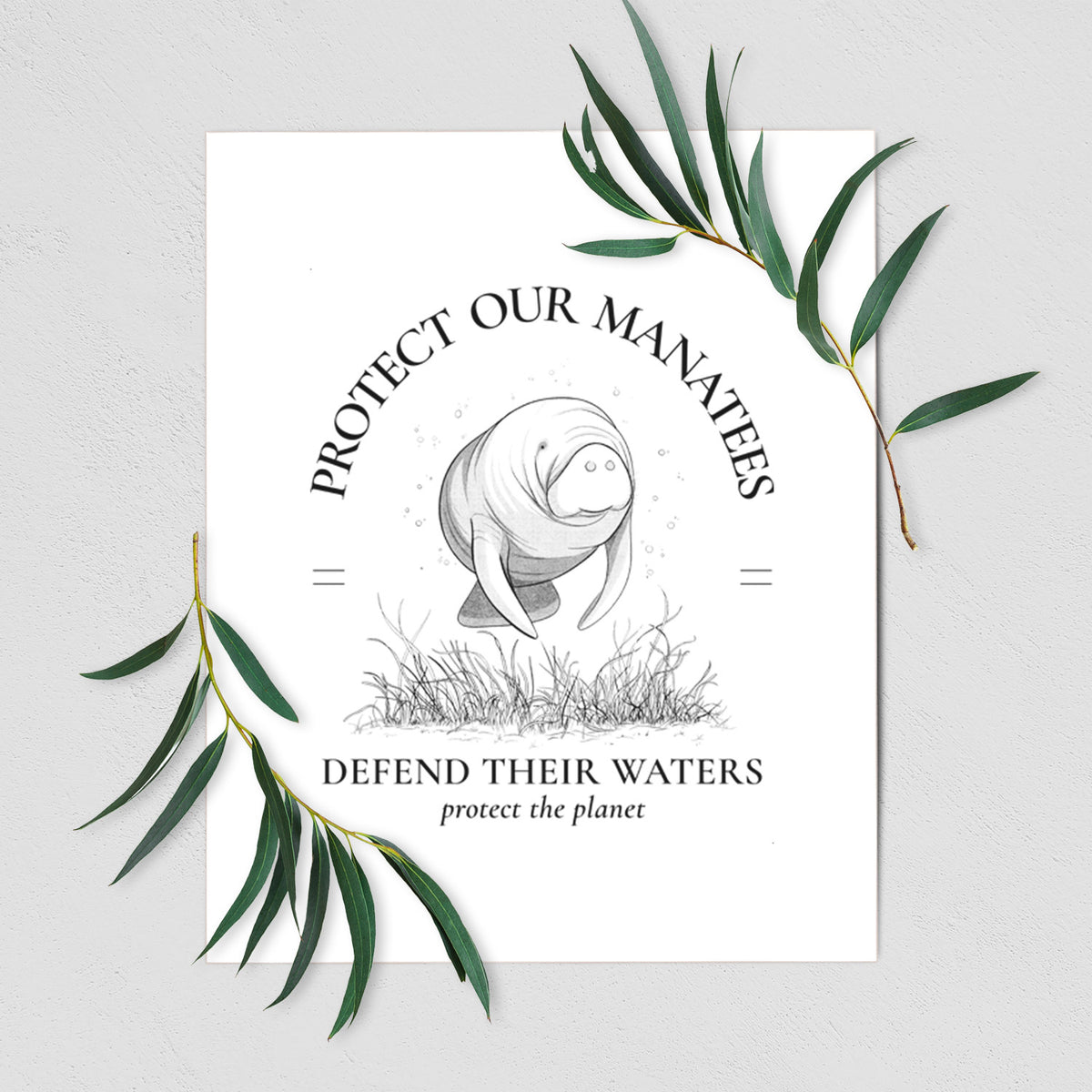 Art print of a black ink illustration of a manatee among seagrass, framed by the words Protect Our Manatees, Defend Their Waters, Protect the Planet, shown with eucalyptus leaves.