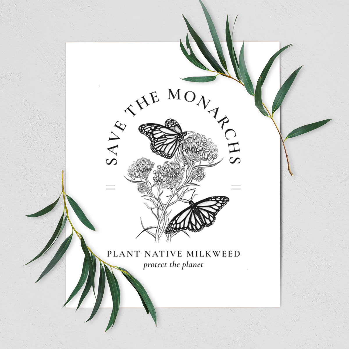 Art print of black ink monarch butterflies on milkweed flowers, framed by the words Save the Monarchs, Plant Native Milkweed, shown with eucalyptus leaves.