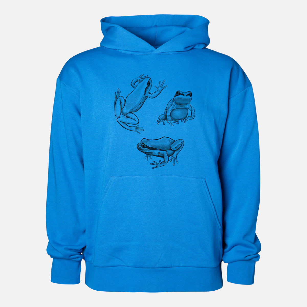 Pacific Tree Frogs - Pseudacris regilla - Statement Midweight Hoodie in Azure Blue, shown from the front with the design printed on the chest above a front kangaroo pocket.