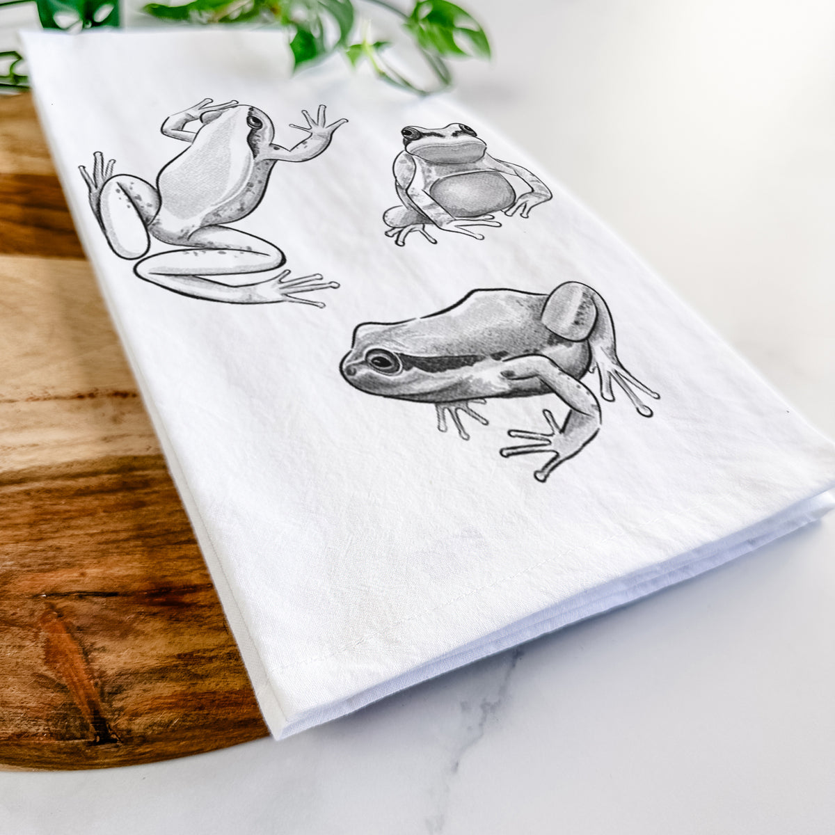Close-up of a folded white tea towel on a wooden board, showing a black ink illustration of three Pacific tree frogs in different poses.
