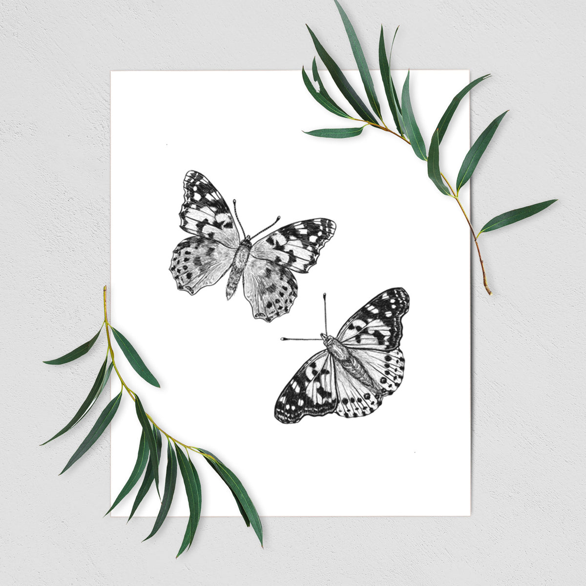 Art print of a detailed black ink illustration of two painted lady butterflies, shown with eucalyptus leaves.