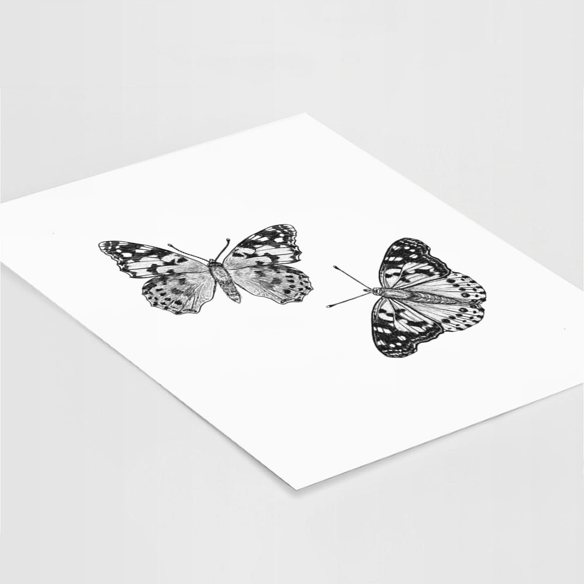 Art print of a detailed black ink illustration of two painted lady butterflies, lying at an angle on a white surface.