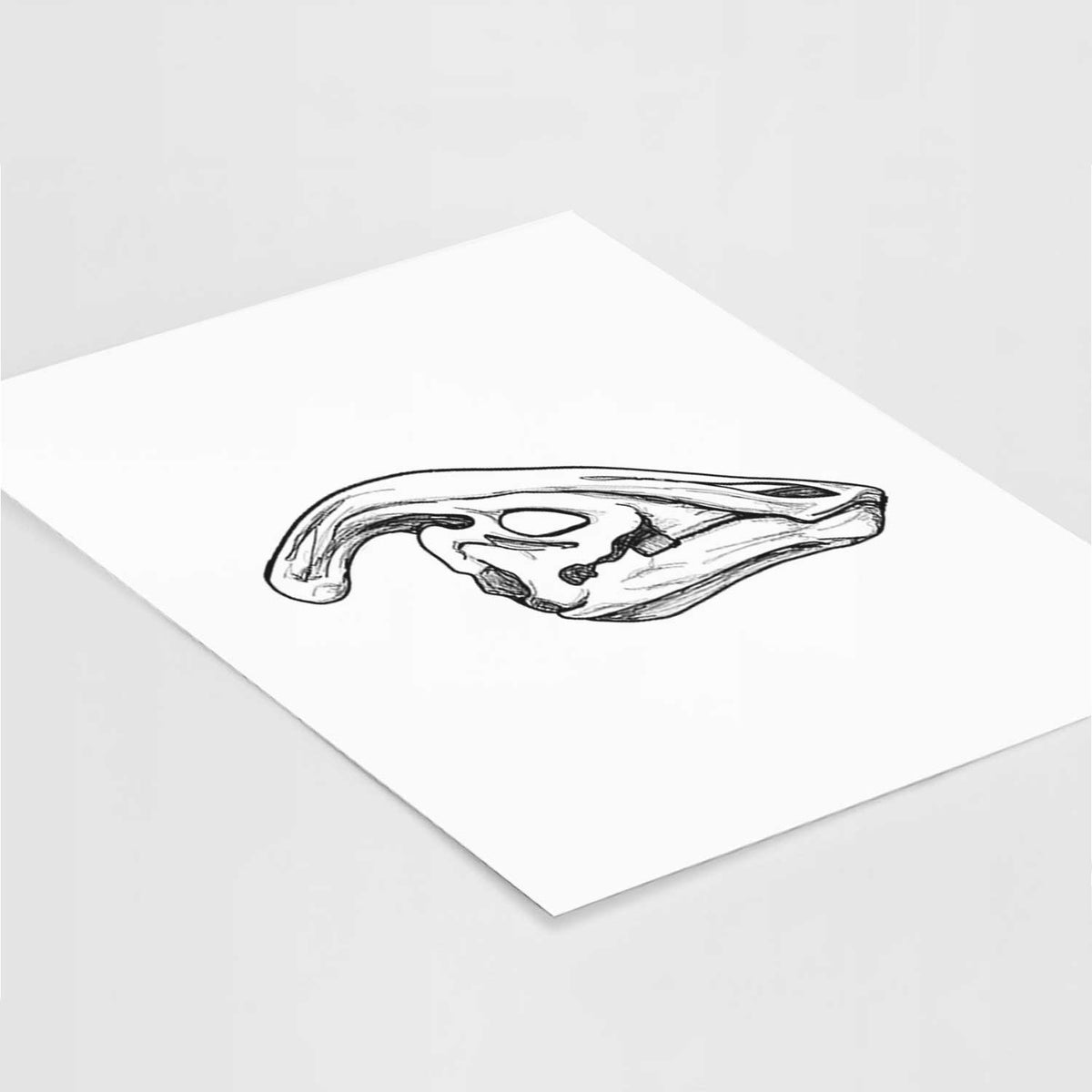 Art print of a detailed black ink illustration of a crested Parasaurolophus skull, lying at an angle on a white surface.